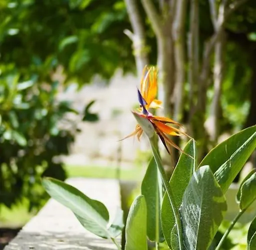 Private House With Pool & Garden *