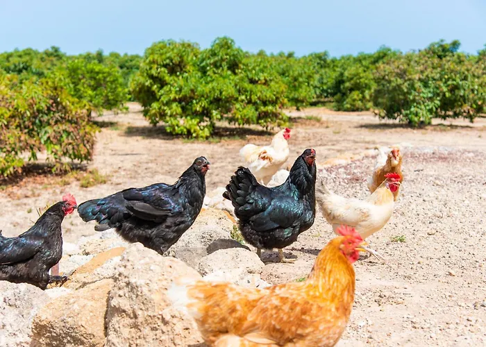 Private House With Pool & Garden *