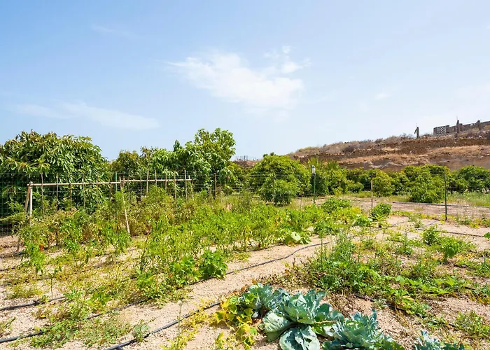 Ferienhaus Private House With Pool & Garden Güimar