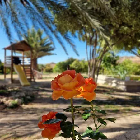 펜션 Private House With Pool & Garden *