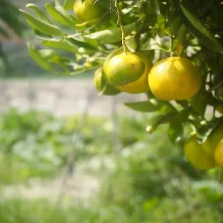 Private House With Pool & Garden 펜션 기마르