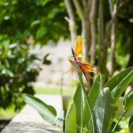 Private House With Pool & Garden *