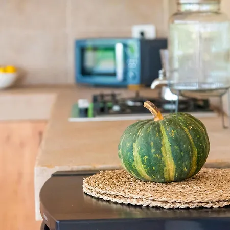 Private House With Pool & Garden 別荘 グイマー