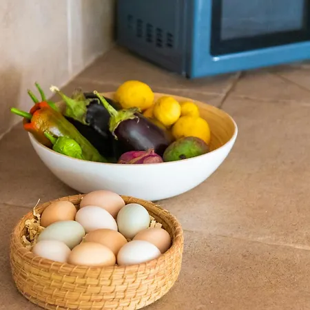 Private - Pool - Orchard - Wood-fired Oven Σπίτι διακοπών