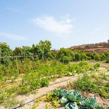 別荘 Private House With Pool & Garden グイマー