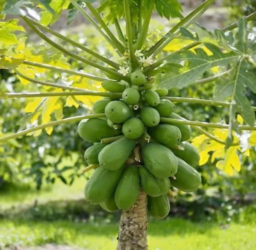 Private House With Pool & Garden Hébergement de vacances